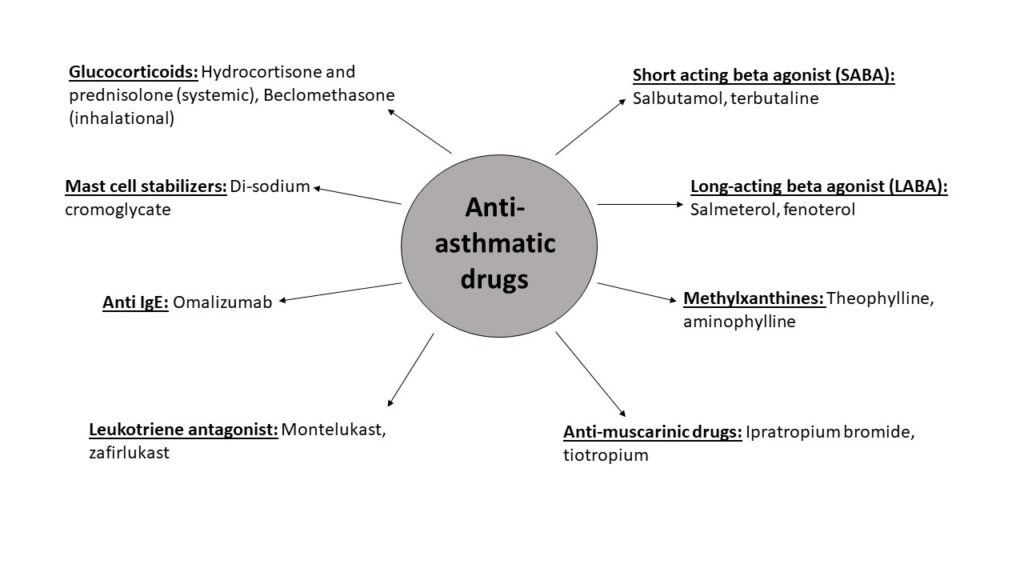 anti asthmatic drug