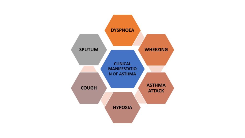 Clinical Manifestations: asthma